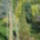 Kepek20091008_077_404084_97467_t