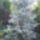 Kepek20091008_082_404085_86794_t