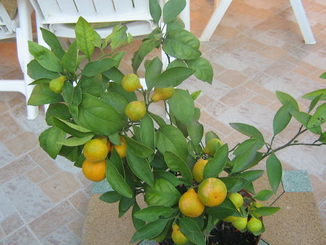 képek20091008 087