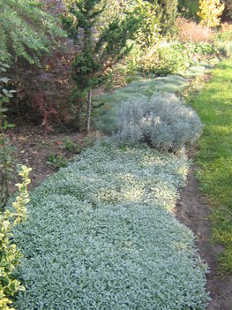 képek20091008 095