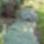 Kepek20091008_095_404015_83021_t