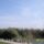 Madarak_vonulasa_404605_57389_t