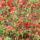 Tavasz_404331_30639_t