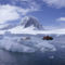 197-2600~Tourists-in-Rigid-Inflatable-Boat-Approach-a-Seal-Lying-on-the-Ice-Antarctica-Posters
