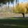 Cimg6727_455735_76422_t