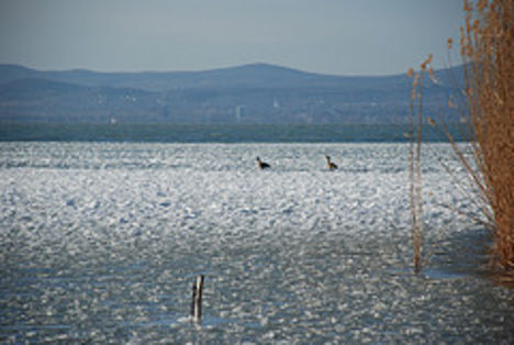 Fagyos, téli, jeges Balaton 8