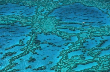 Nagy-Korallzátony Ausztrália partjainál