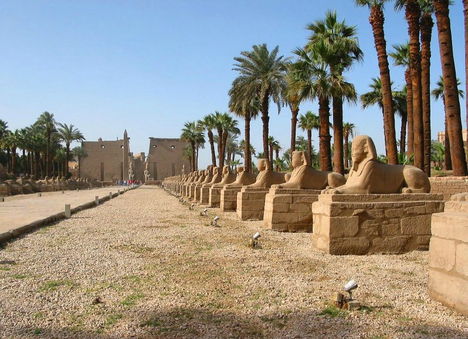 Szfinxsor a Luxori templom irányában