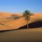 Végtelen Szahara, Földünk legnagyobb sivataga