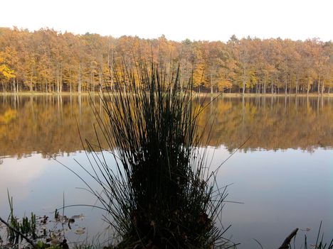 Szlovéniai Bakonaki-tó 8