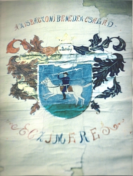 Kisbaczoni Benedek család címere színes JPEG