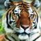 tiger-regal_800x6002