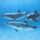 3dolphins_461572_30501_t