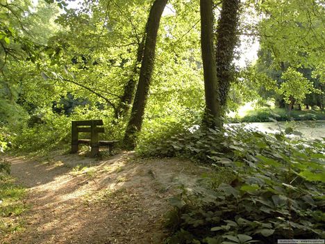 Alcsútdobozi Arborétum