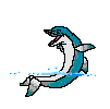 dolphins003