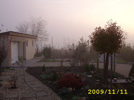 novemberi ködös napfelkelte