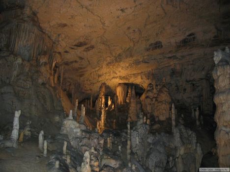 Postojnai cseppkőbarlang