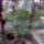 Kep177_464335_96604_t