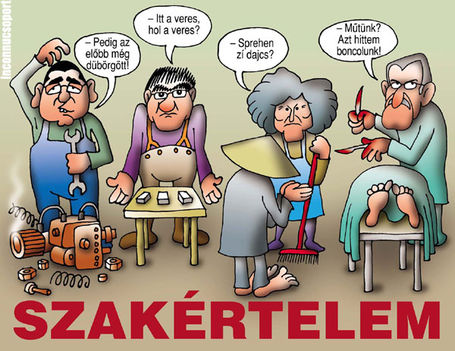 szakértelem