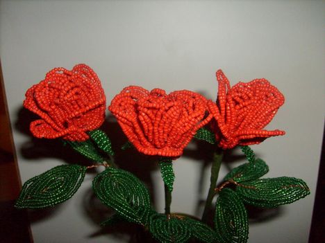 Piros rózsák