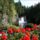 Queen_elizabeth_park_vancouver_kanada_466476_56573_t