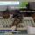 Sok_volt_a_munka_466710_73252_t