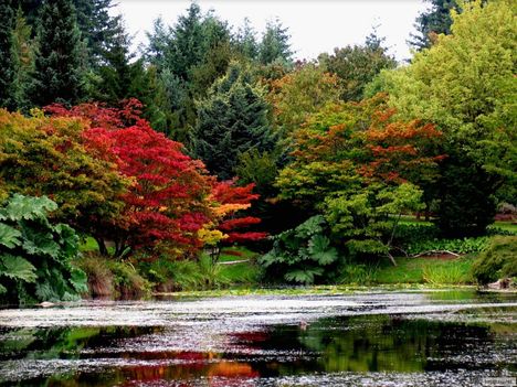 Van Dusen Park, Vancouver, Kanada