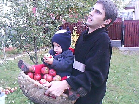 apuval az almak kozt
