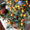Solanum /közelről/