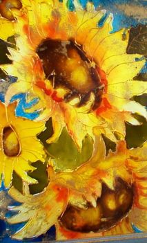 sunflower8025