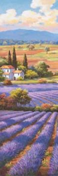 Sung Kim Fields of lavender ii