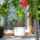 Hibiszkusz_1_474149_15568_t