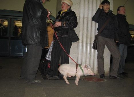 Utazás a moszkvai metróban 39