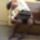 Utazas_a_moszkvai_metroban_5_474845_49294_t