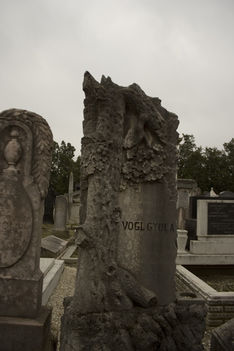 Zsidó-temető 5