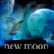 New-Moon-new-moon-3150729-1024-768