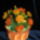 Sarga_mezei_477846_69158_t