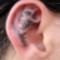 skull tattoo in ear