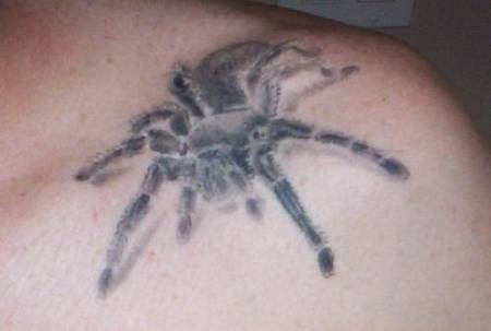 tattoo spider. spider tattoo
