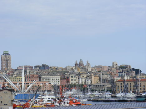 Genova 11