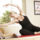 Pilates_481882_73758_t