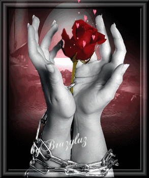 Rózsa az Örök virág 4