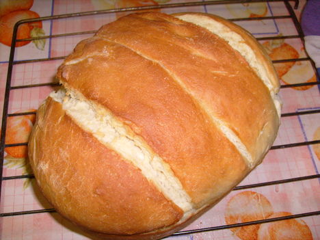 első kenyerem