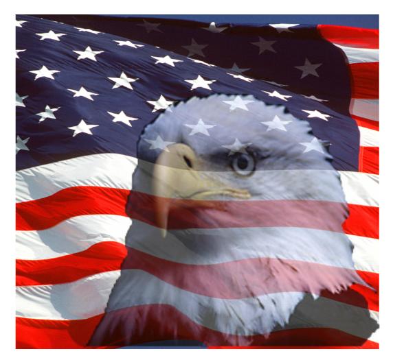 Utazás: USA zászló és címer állat (kép)