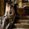 normal_movies_officialhalfbloodprince_professordumbledore_006