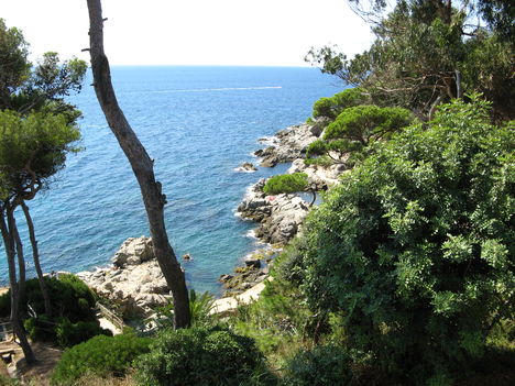 Costa Brava,Lloret de Mar 15