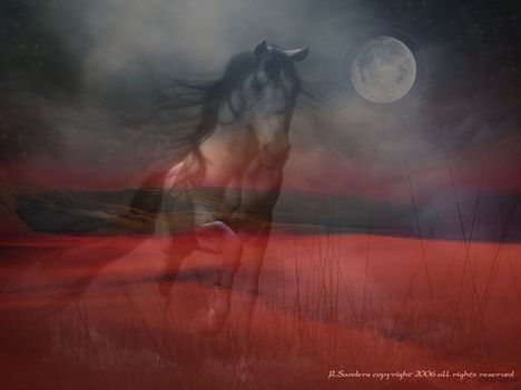 Ghost-Horse-in-Dreams-1-1024x768