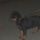 Br_014_488893_95649_t