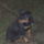 Br_018_488896_35119_t