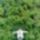En-007_488852_63007_t